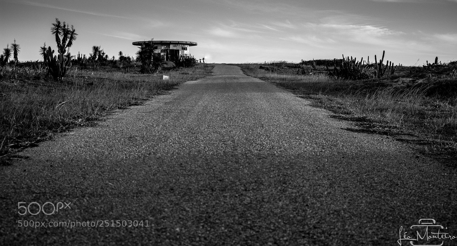 Canon EOS 70D sample photo. Nature and landscapes photography