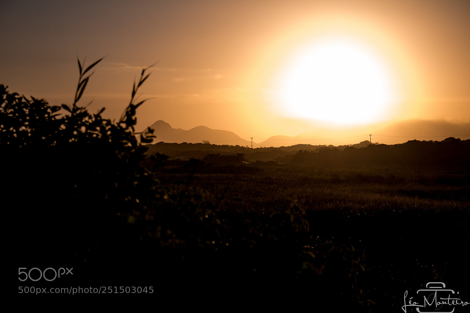 Canon EOS 70D sample photo. Nature and landscapes photography