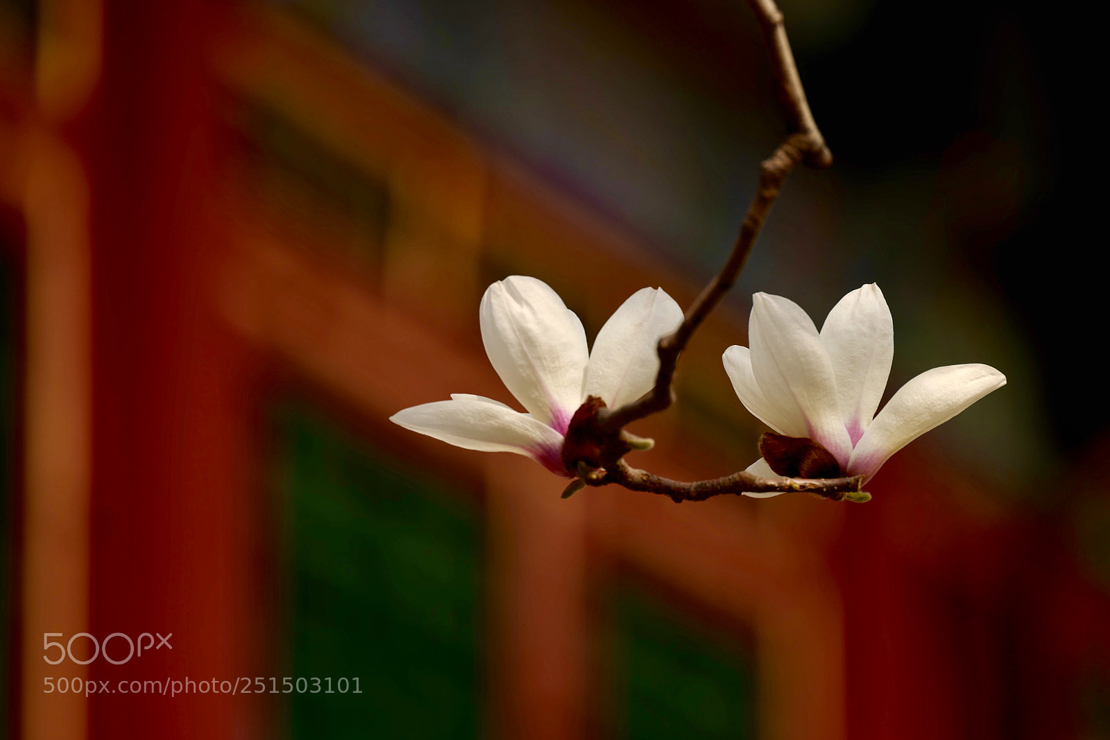 Leica SL (Typ 601) sample photo. Untitled photography
