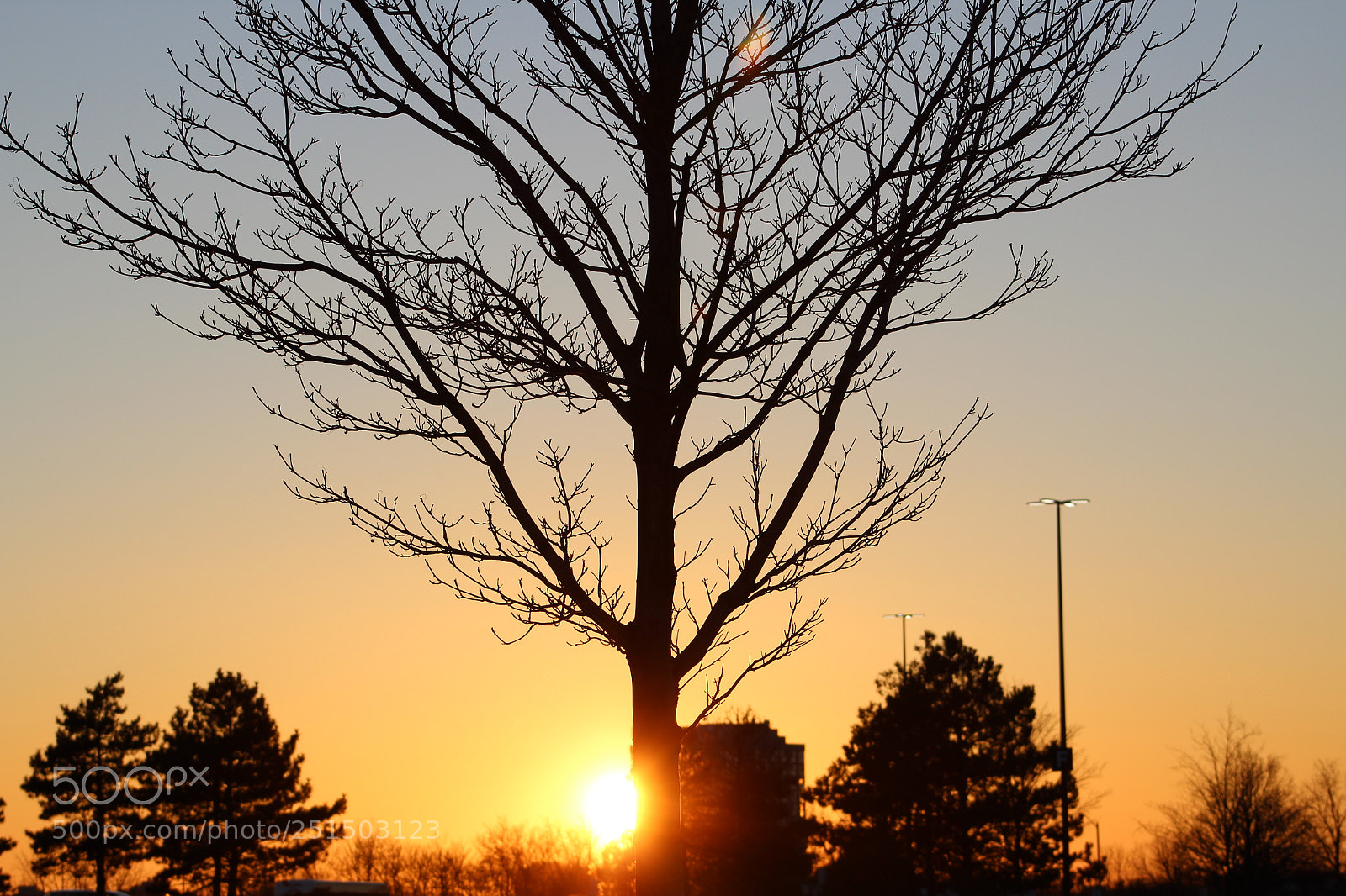 Canon EF 75-300mm f/4-5.6 sample photo. Nature's beauty photography