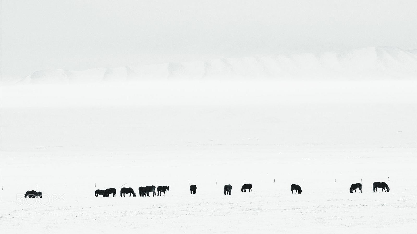 Nikon D7000 sample photo. In winter the prairie photography