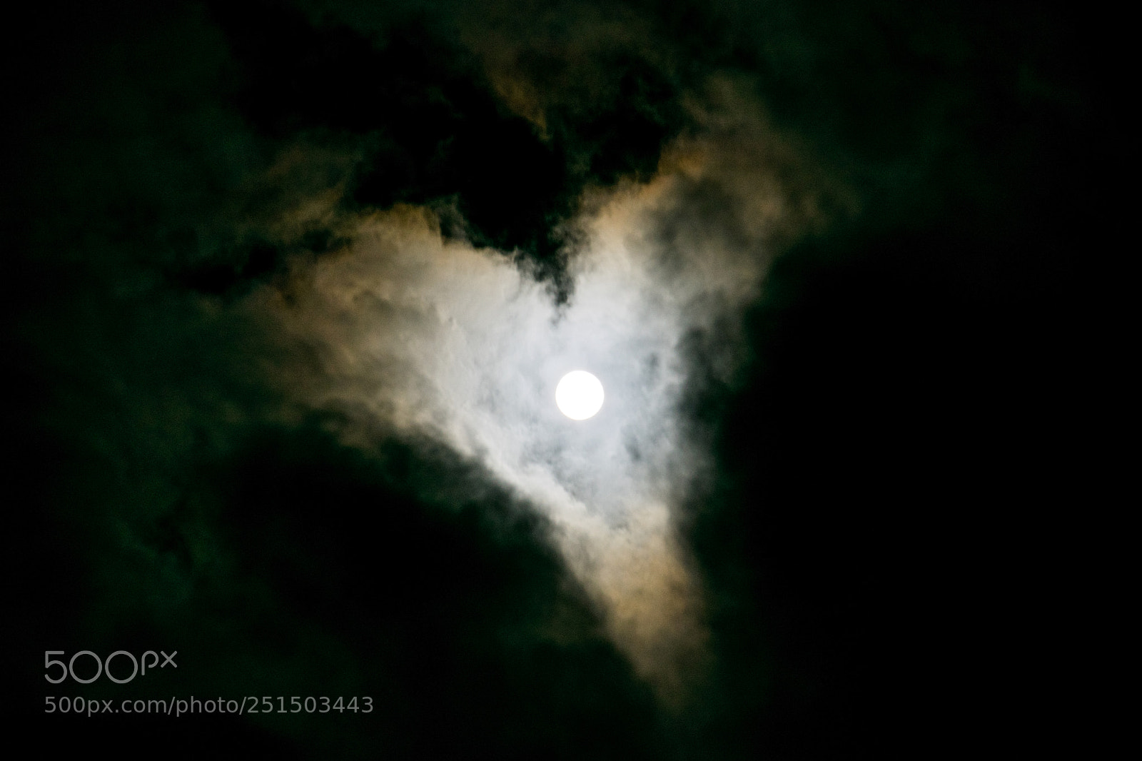 Nikon D5300 sample photo. Moon love photography