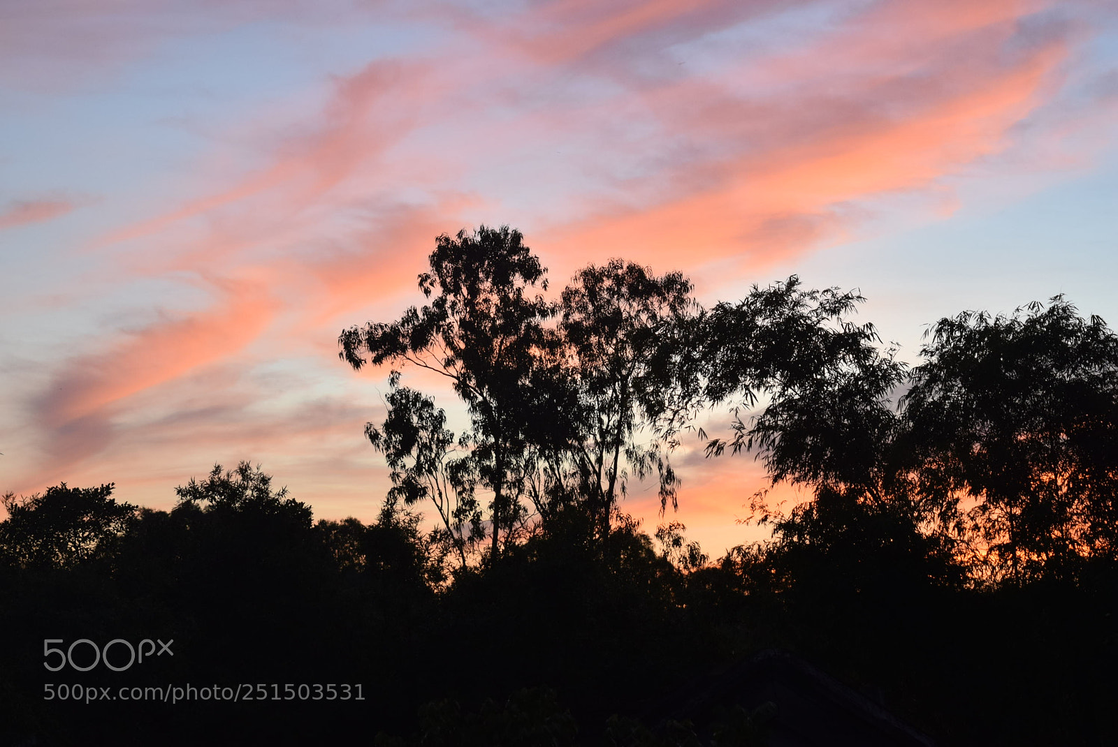 Nikon D5300 sample photo. Dawn photography