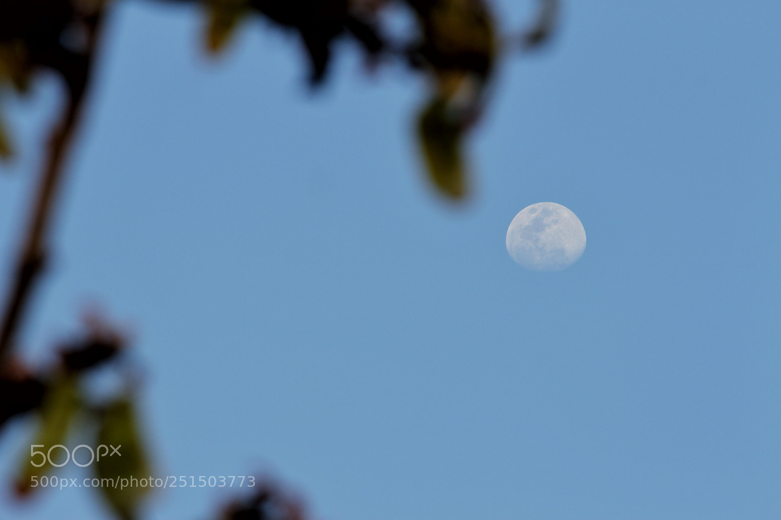 Canon EOS 700D (EOS Rebel T5i / EOS Kiss X7i) sample photo. Daylight moon. photography
