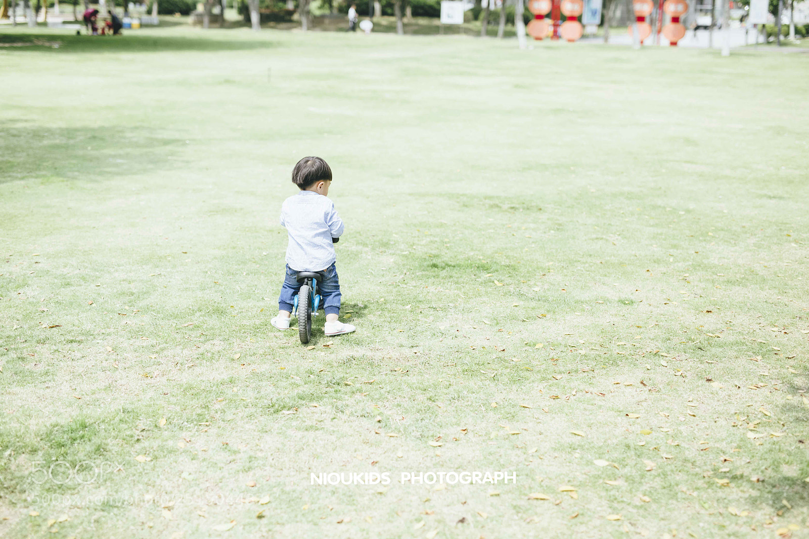 Canon EOS 5D Mark IV sample photo. Untitled photography