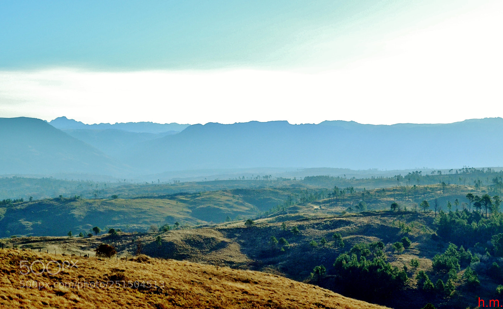 Nikon D3100 sample photo. Bfcao photography