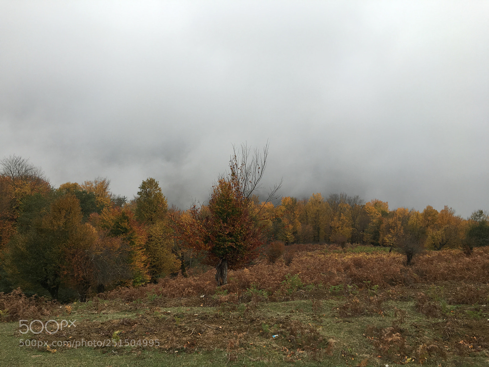 Apple iPhone 6s sample photo. Iran,babol photography
