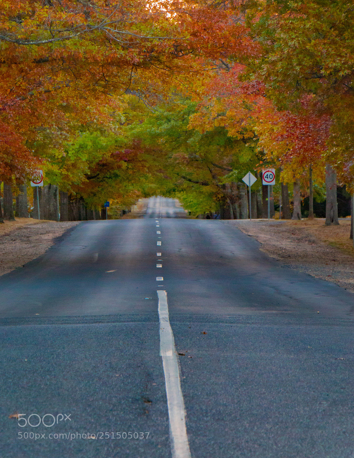 Canon EOS 70D sample photo. Autumn beauty photography