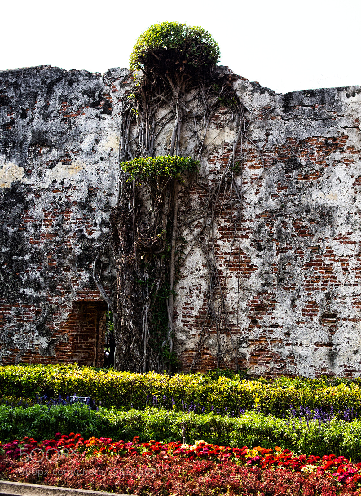 Olympus OM-D E-M5 sample photo. Tainan photography