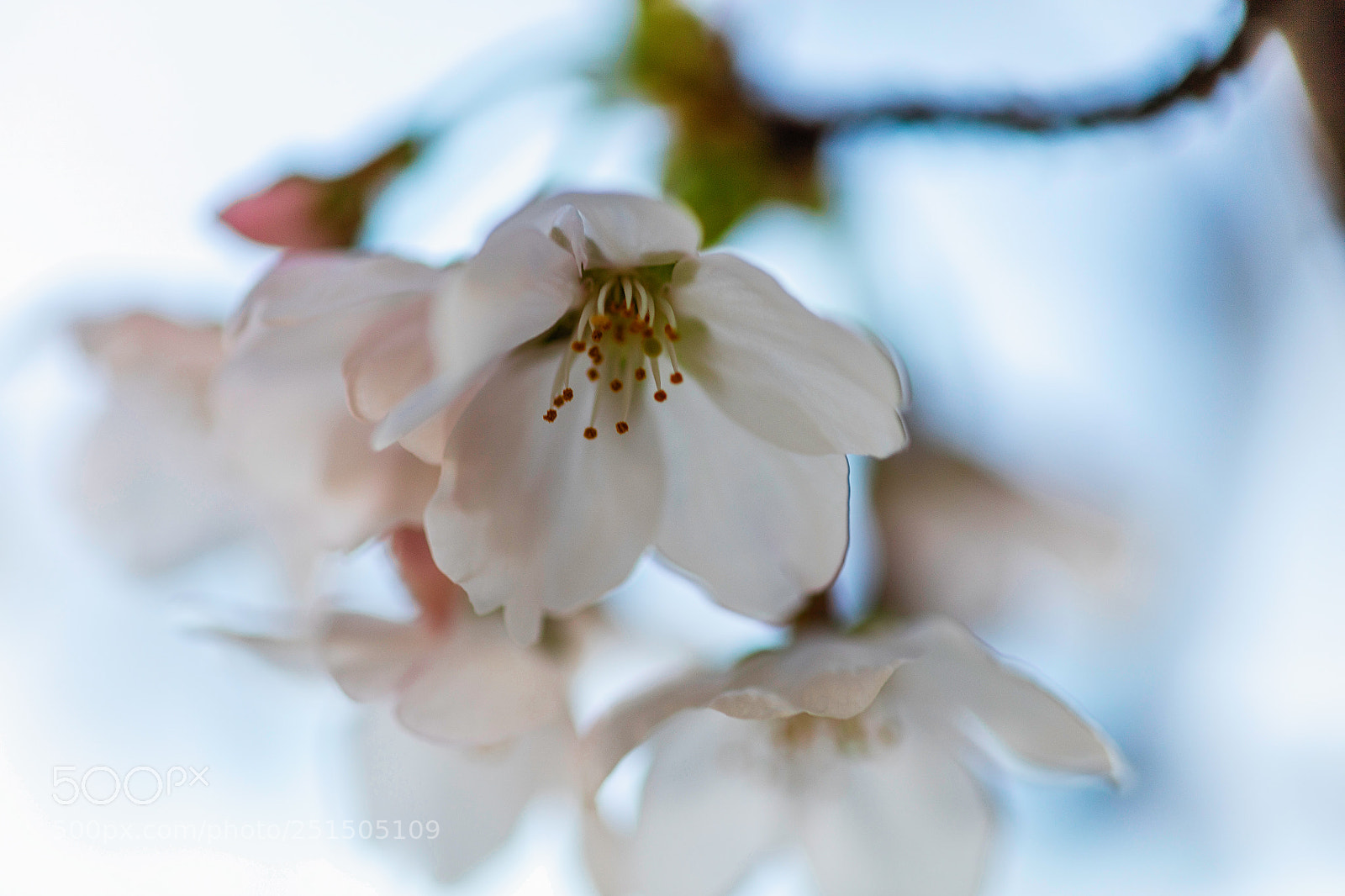 Canon EOS 5DS R sample photo. Peace and calm photography