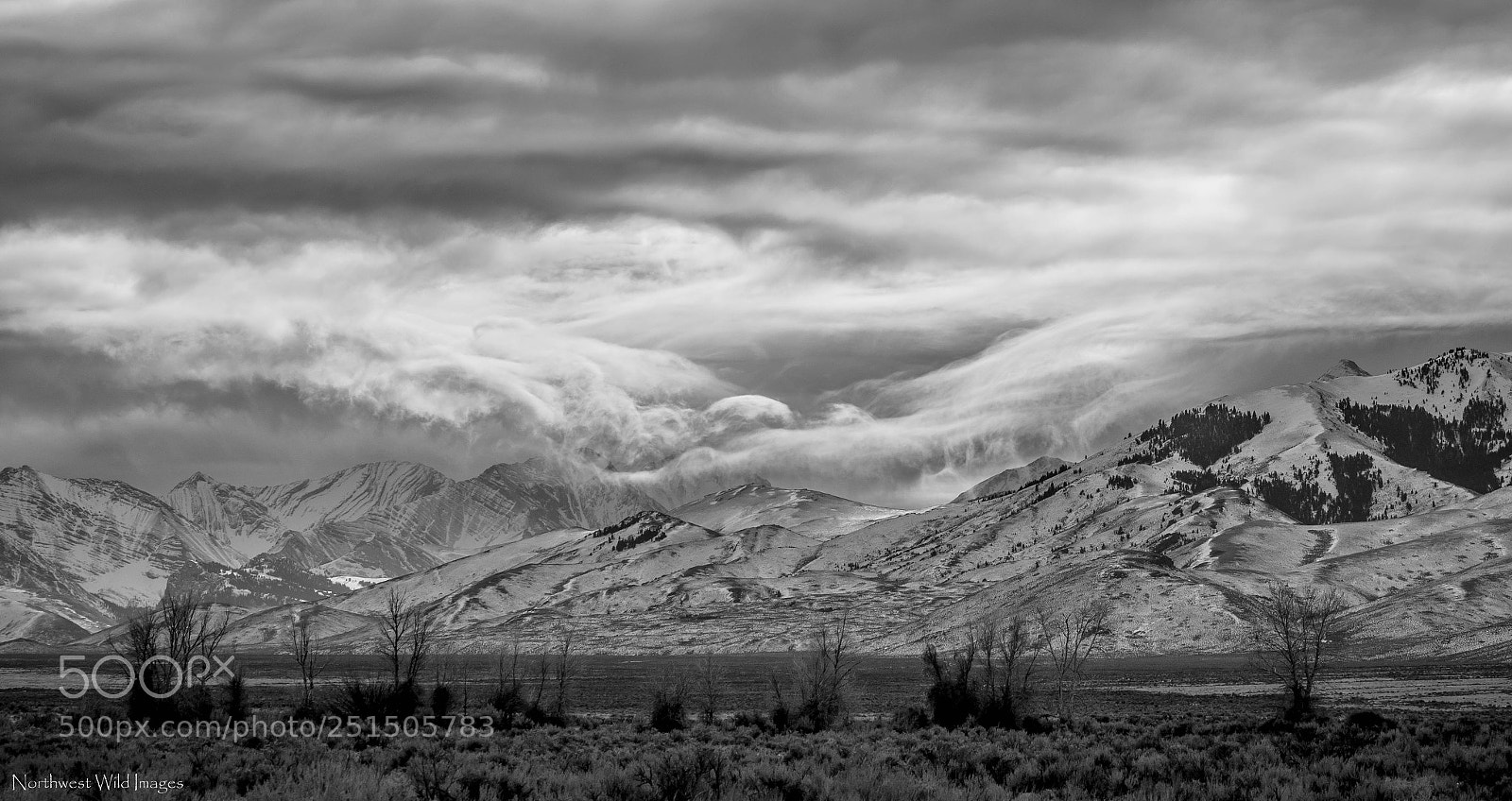 Canon EOS 7D Mark II sample photo. Moody vista photography