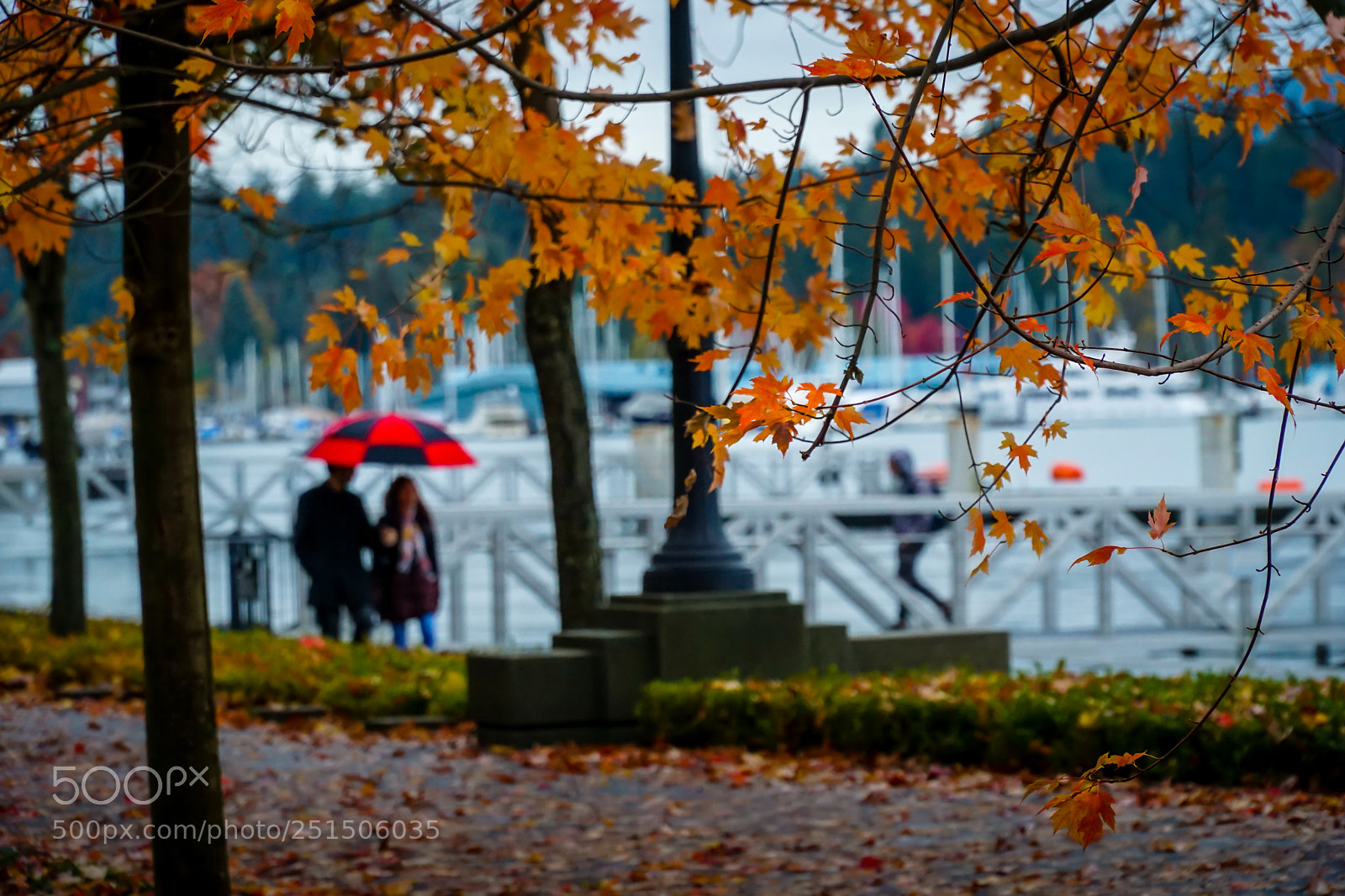 Sony a6000 sample photo. Walking in the rain photography