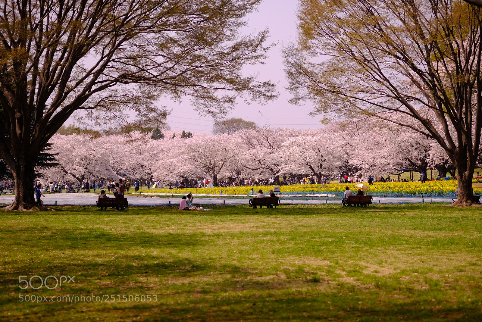 Fujifilm X-T20 sample photo. Untitled photography