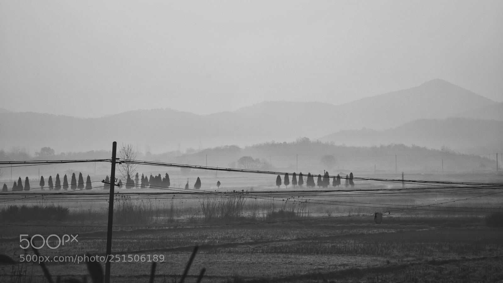 Canon EOS 750D (EOS Rebel T6i / EOS Kiss X8i) sample photo. Ink photography