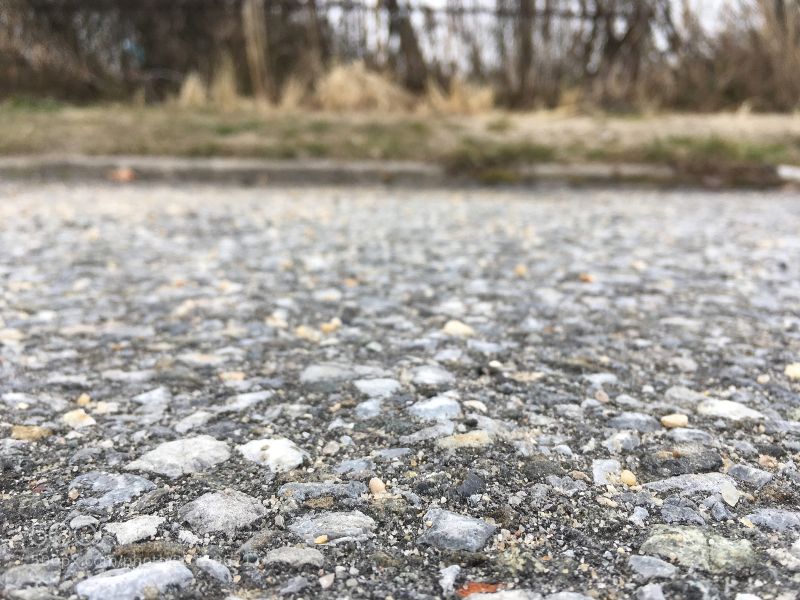 Apple iPhone SE sample photo. Untitled photography