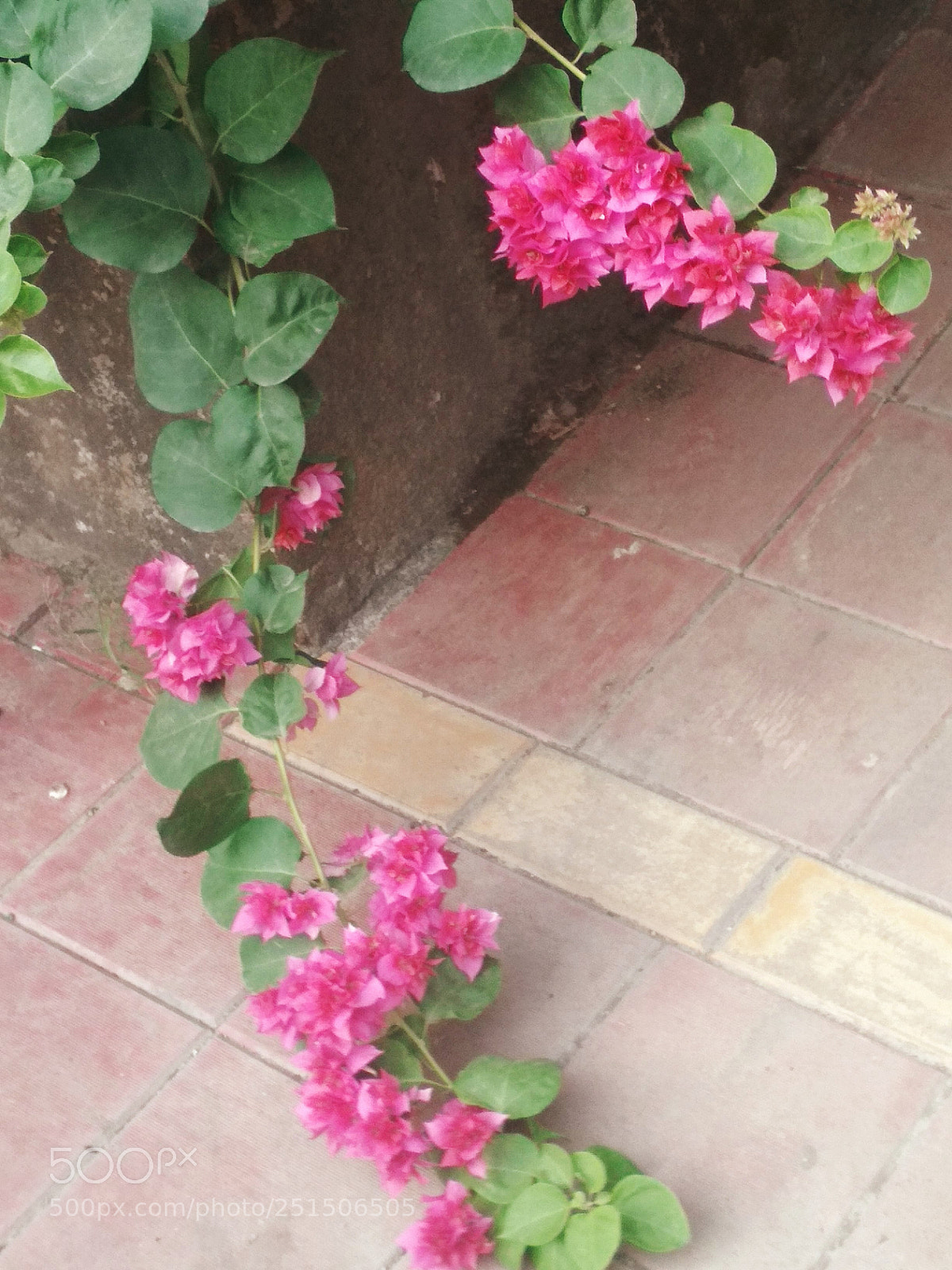 Xiaomi Redmi 4 Pro sample photo. Untitled photography
