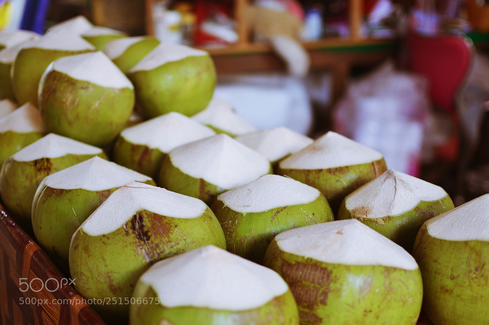 Nikon D3100 sample photo. Coconut thailand photography