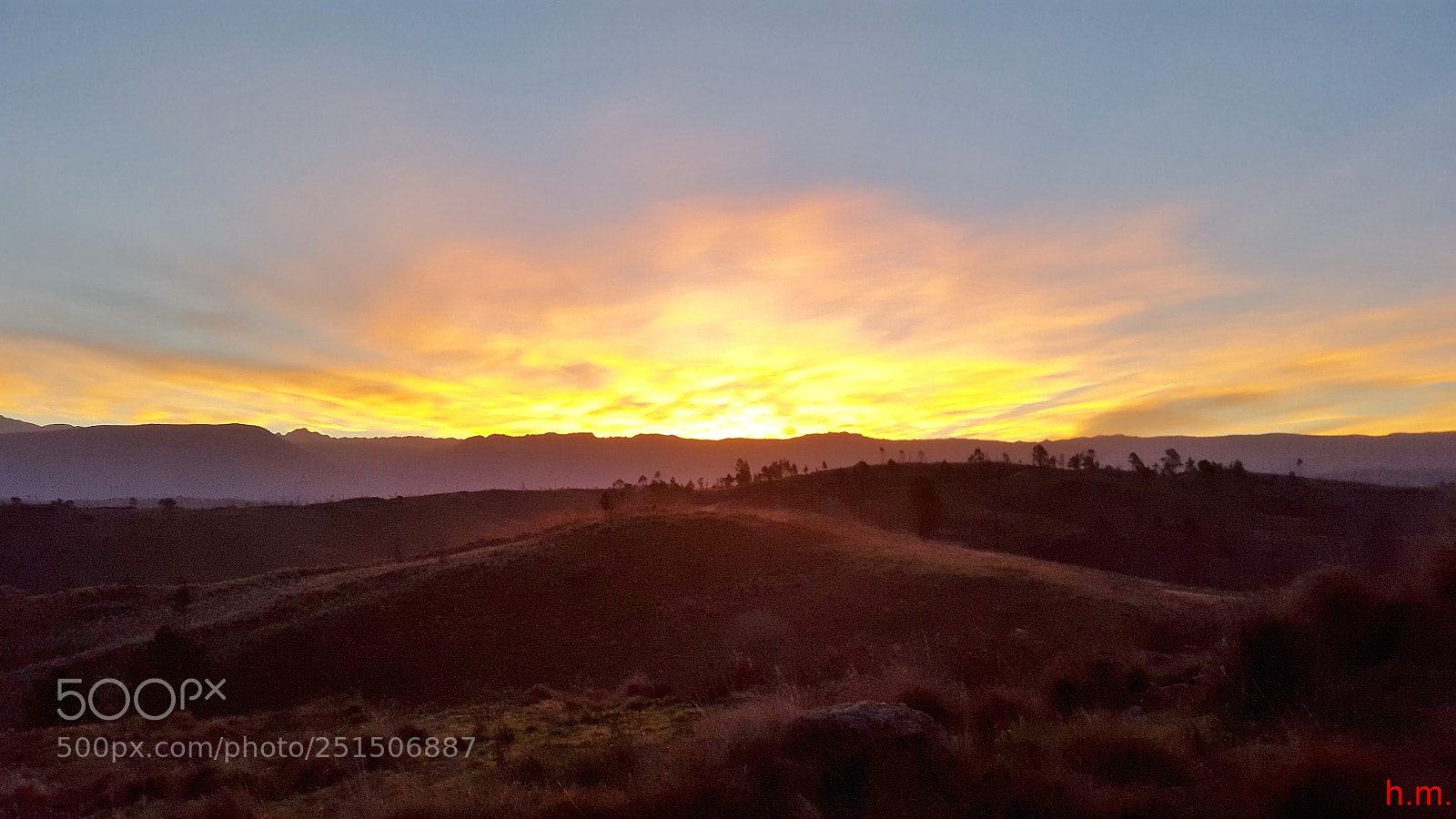 Samsung Galaxy S5 sample photo. Fao photography