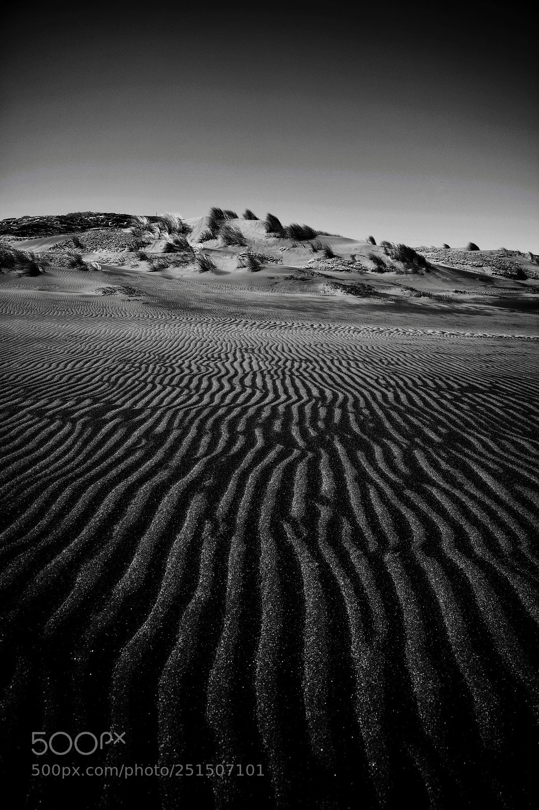 Nikon D5200 sample photo. Sand waves photography