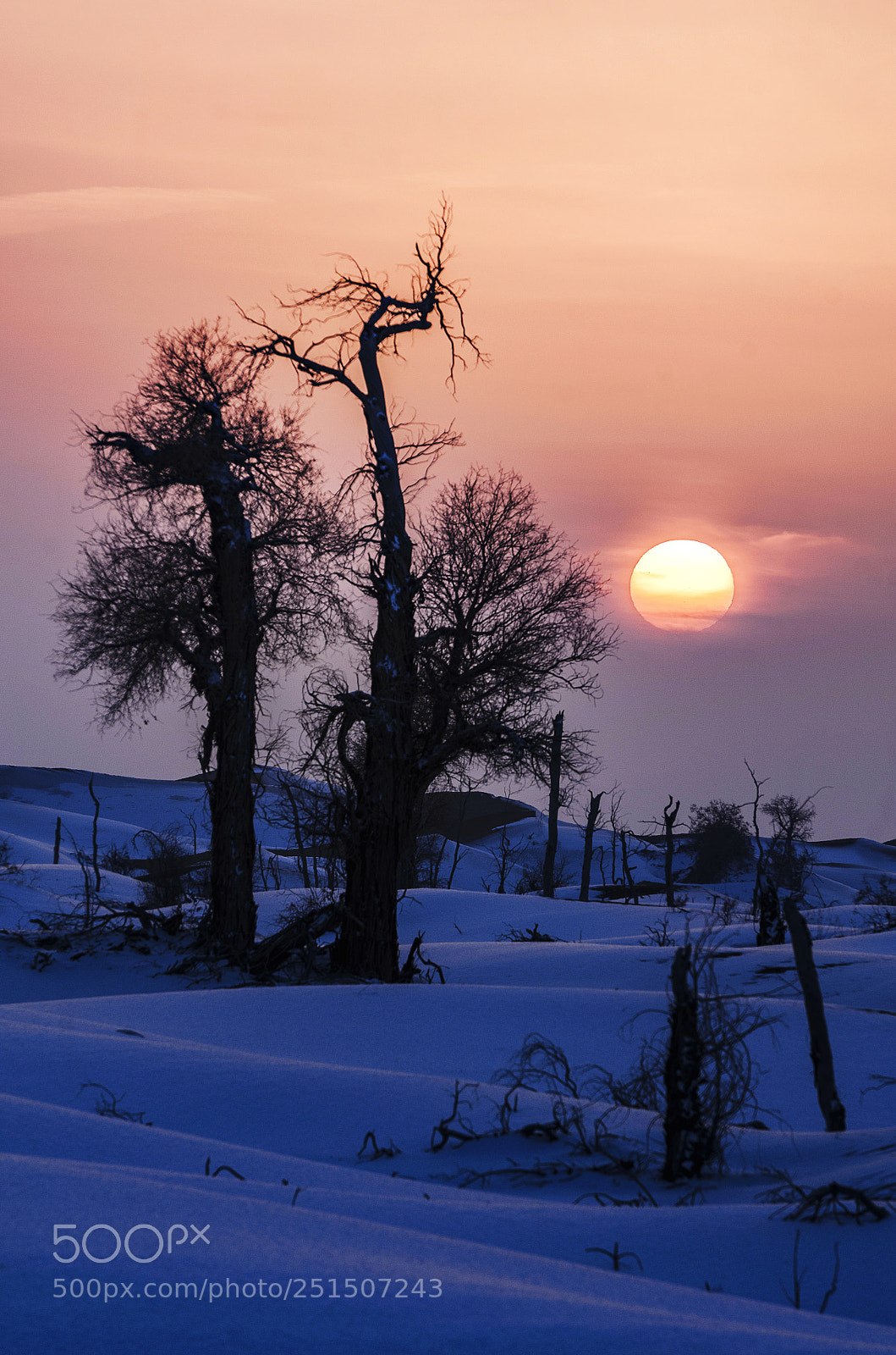 Nikon D7000 sample photo. Sunset photography