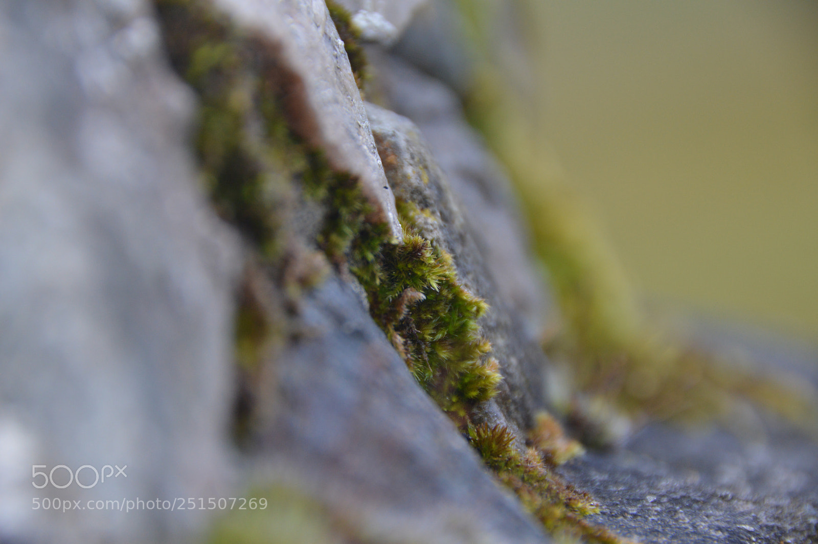 Nikon D3200 sample photo. Rock  photography