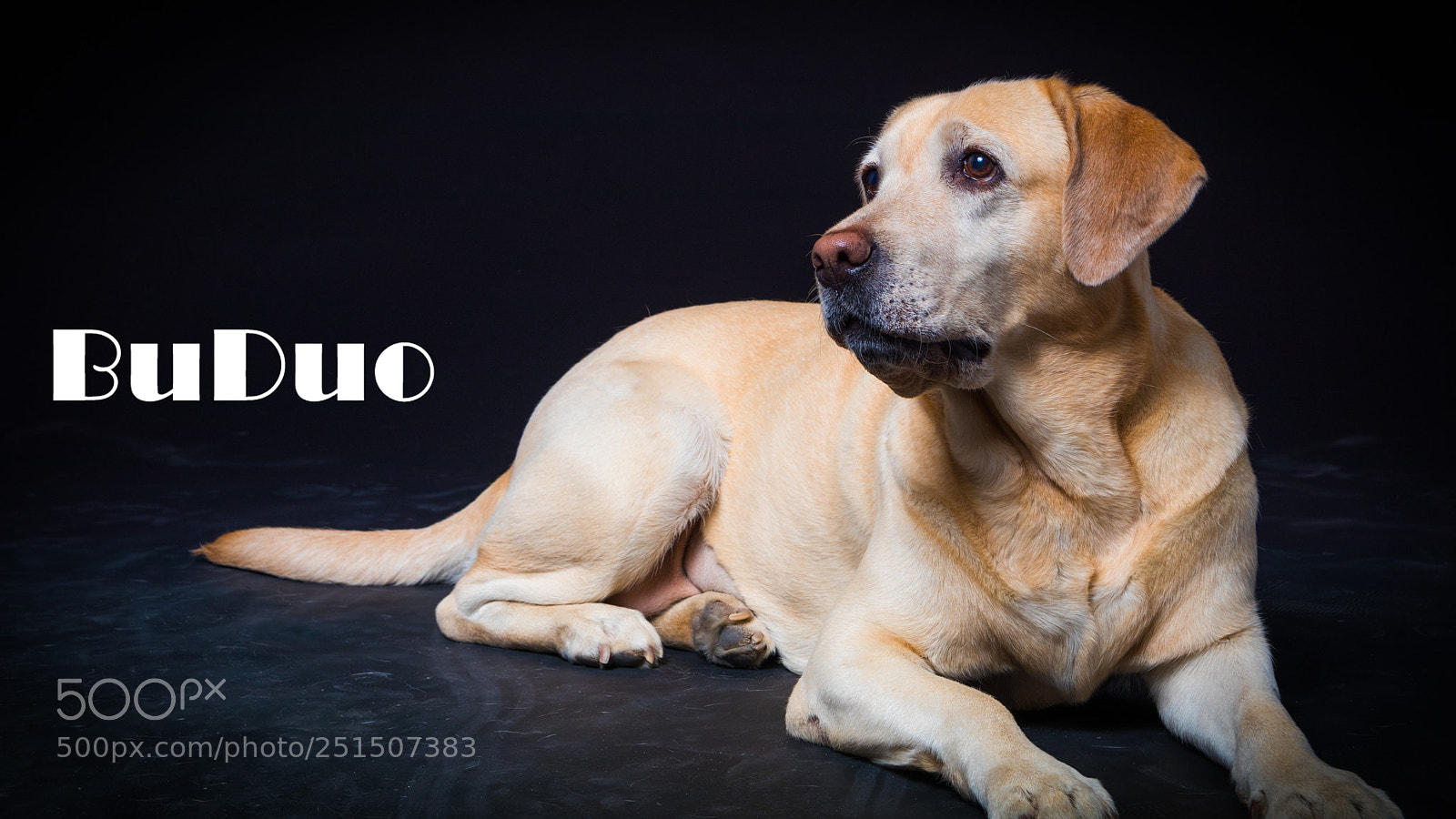 Canon EOS 80D sample photo. Untitled photography