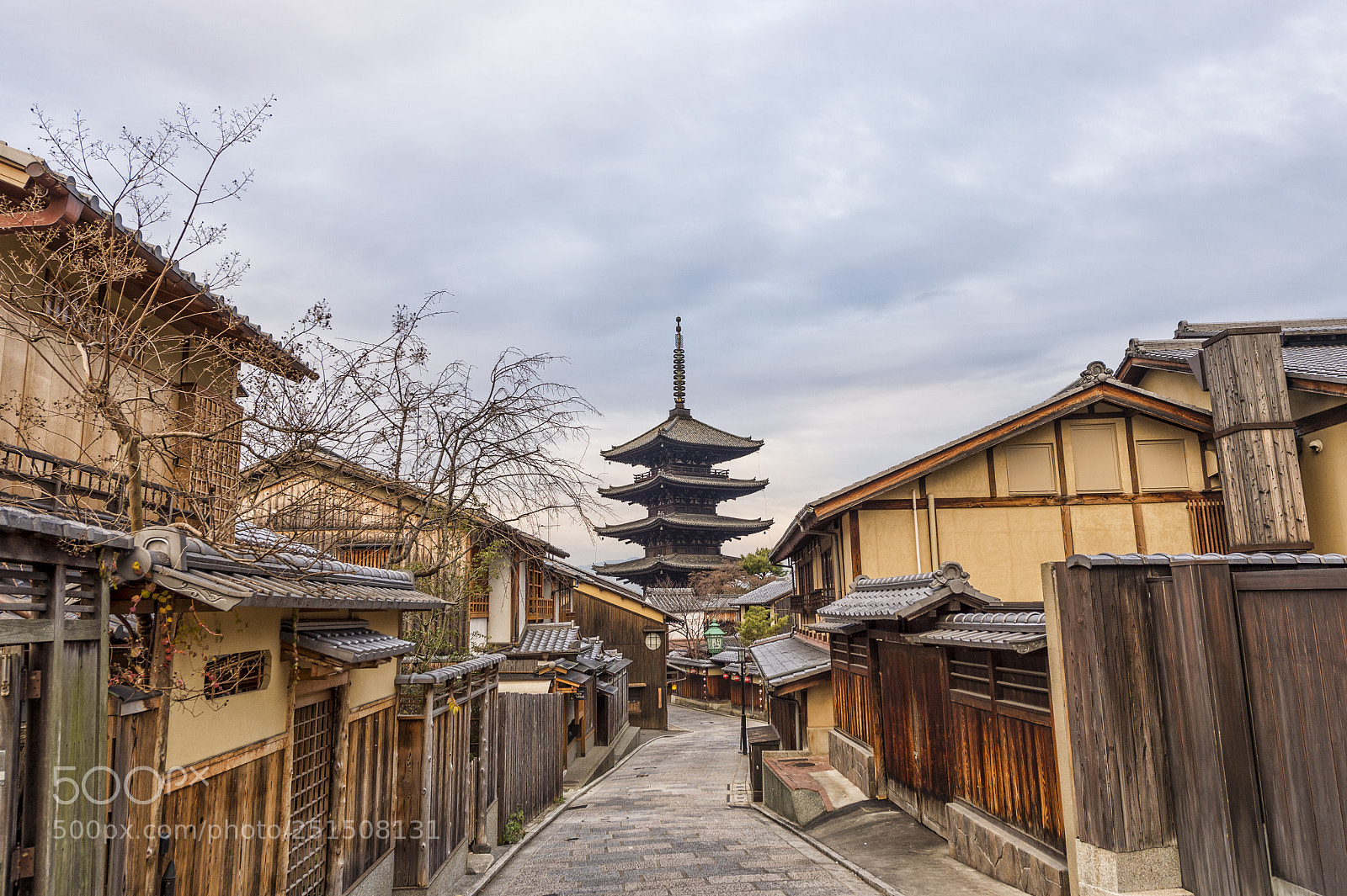 Nikon D4 sample photo. 八坂之塔 photography