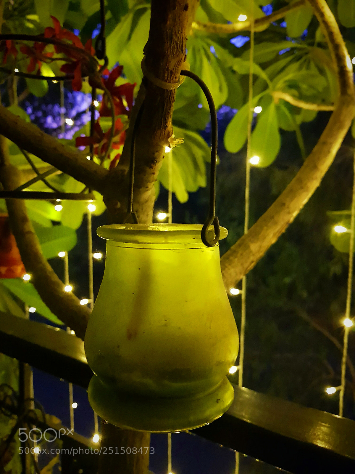 Samsung Galaxy S8 sample photo. Tree light photography