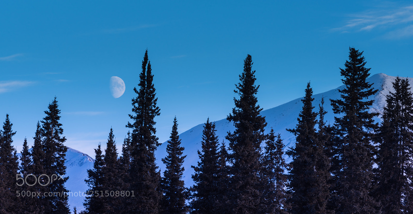 Nikon D810 sample photo. Half moon rise photography