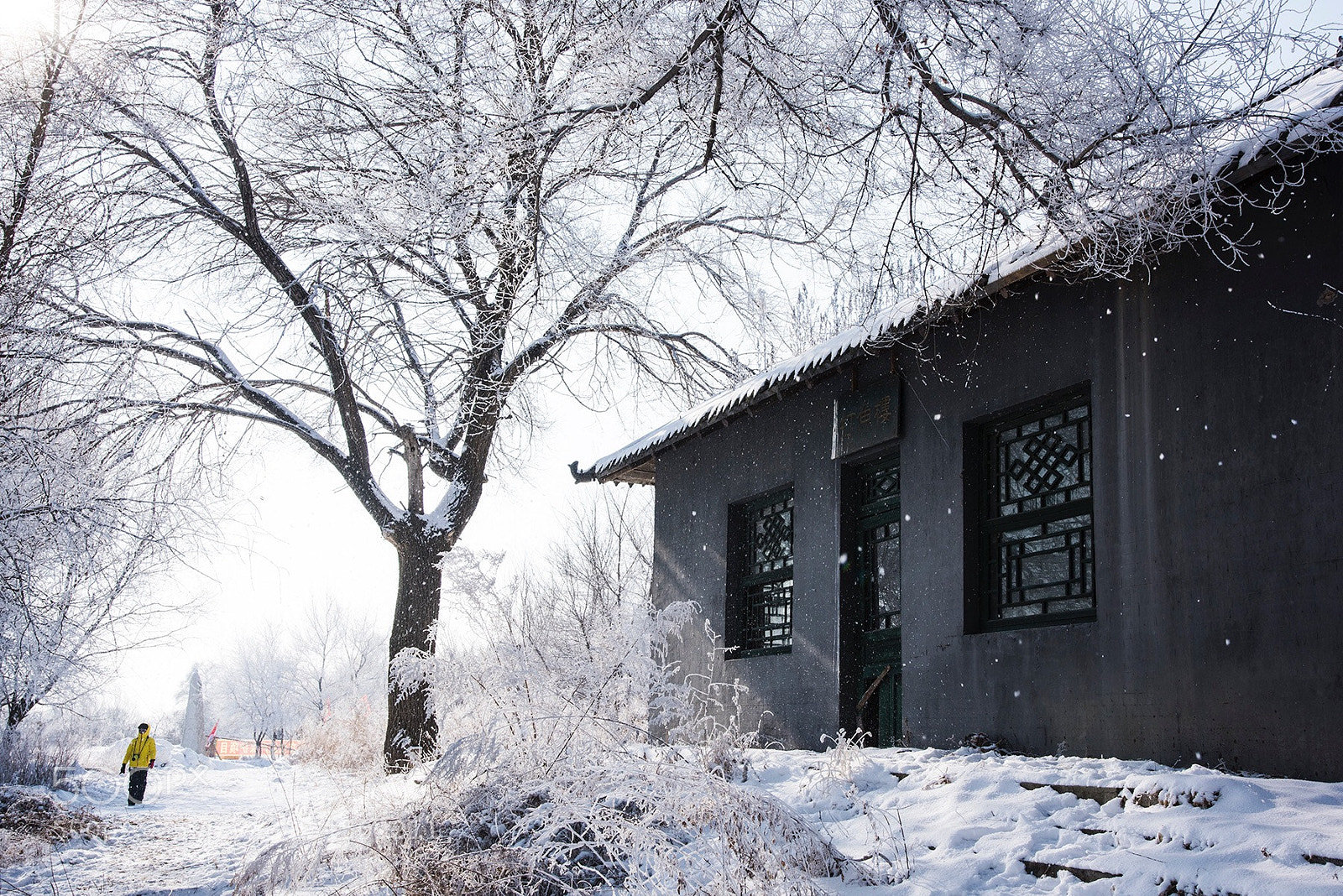 Nikon D810 sample photo. Travel in the winter. photography