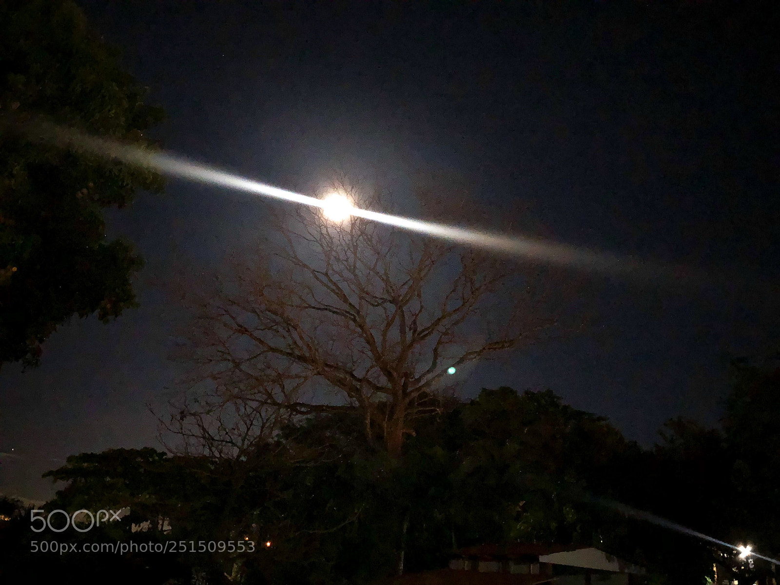 Apple iPhone 8 sample photo. Untitled photography