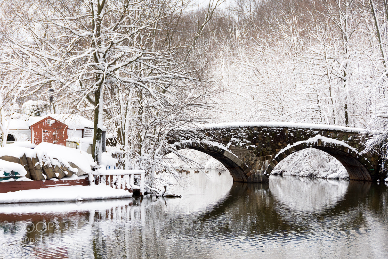 Nikon D7200 sample photo. Day after snowfall photography