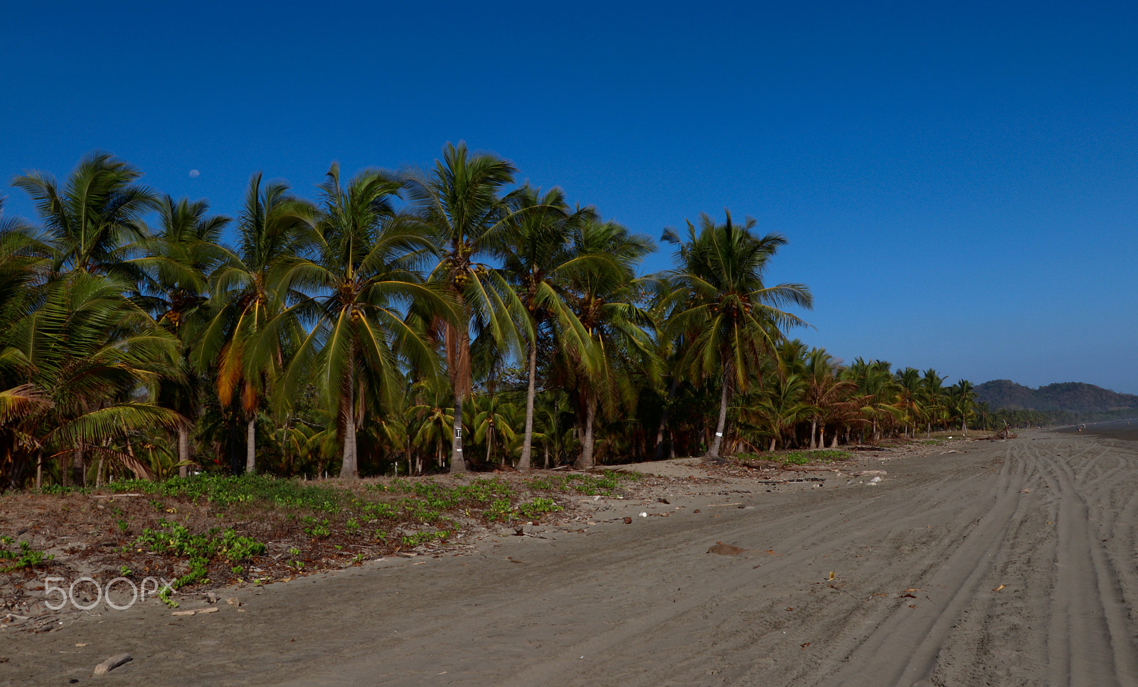 Canon EOS 200D (EOS Rebel SL2 / EOS Kiss X9) sample photo. Playa costa de oro, guanacaste photography