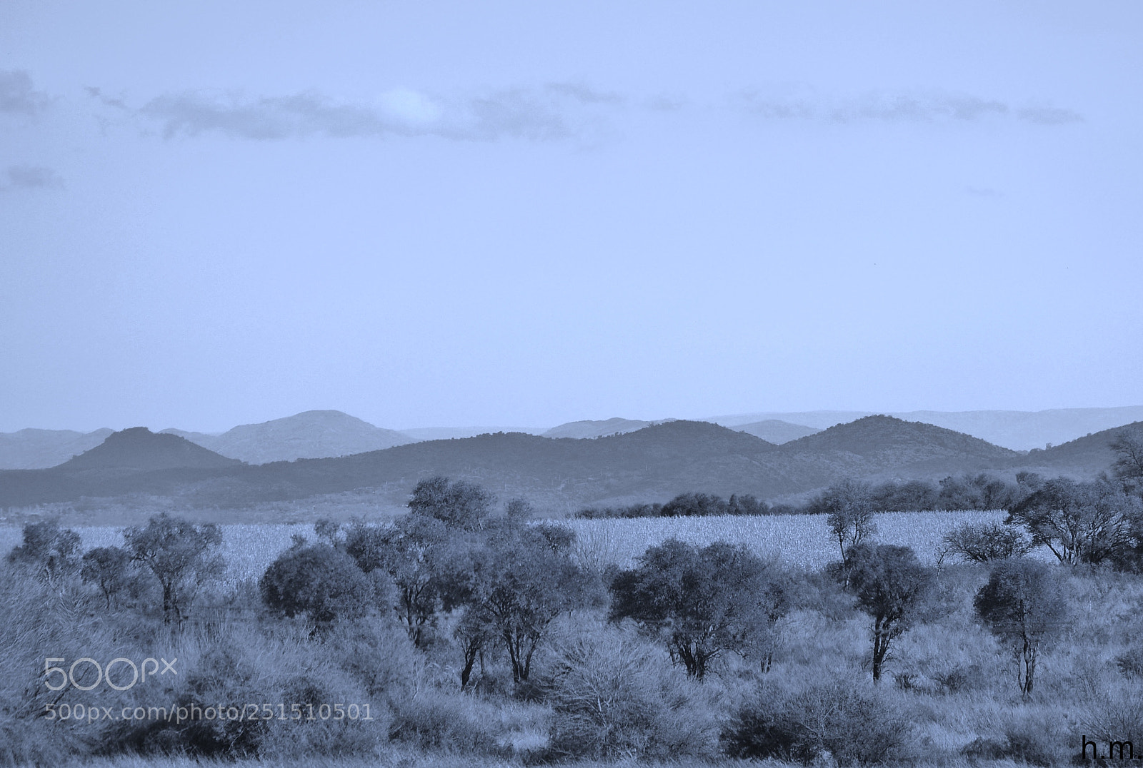 Nikon D3100 sample photo. Fo photography