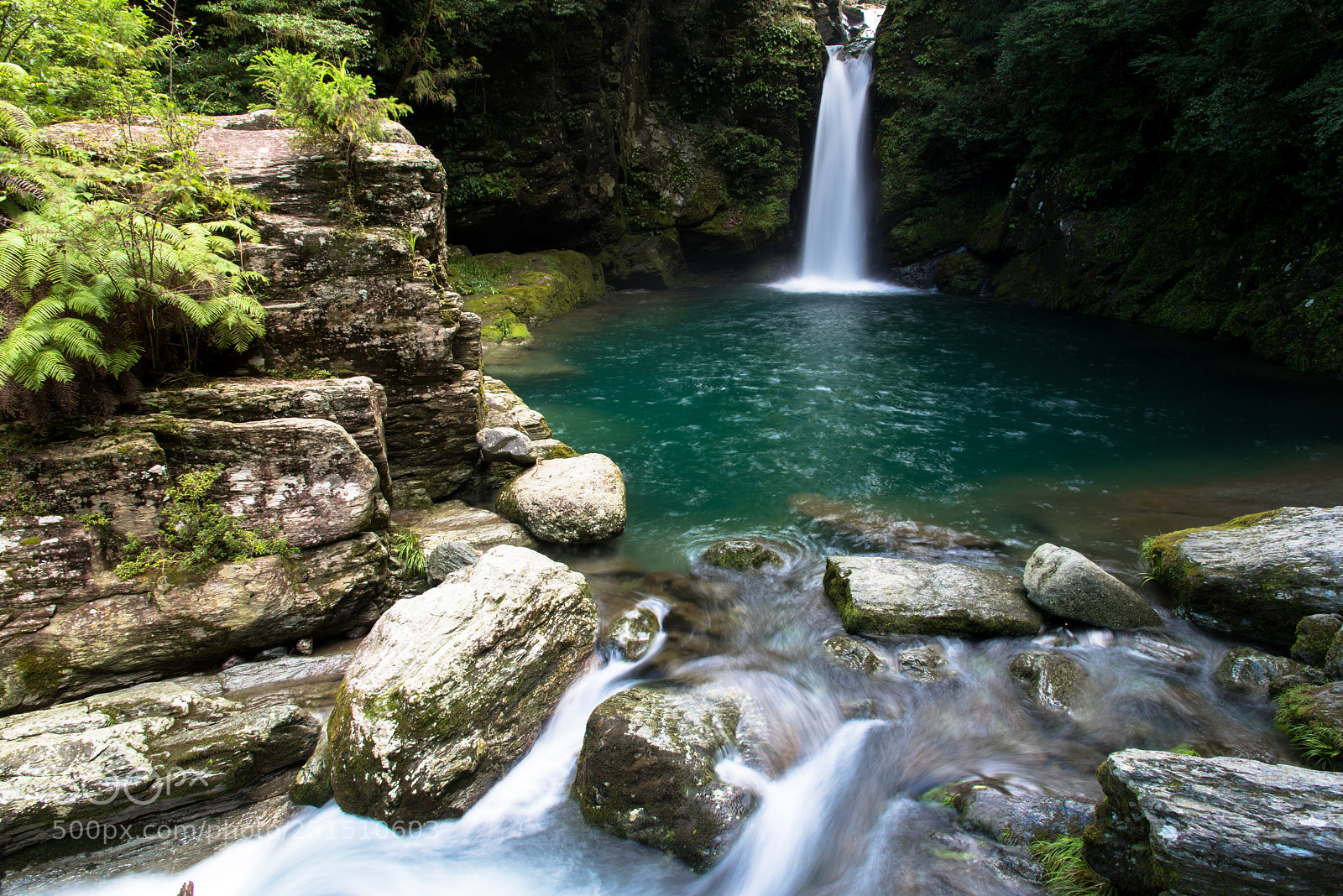 Nikon D810 sample photo. Cool photography