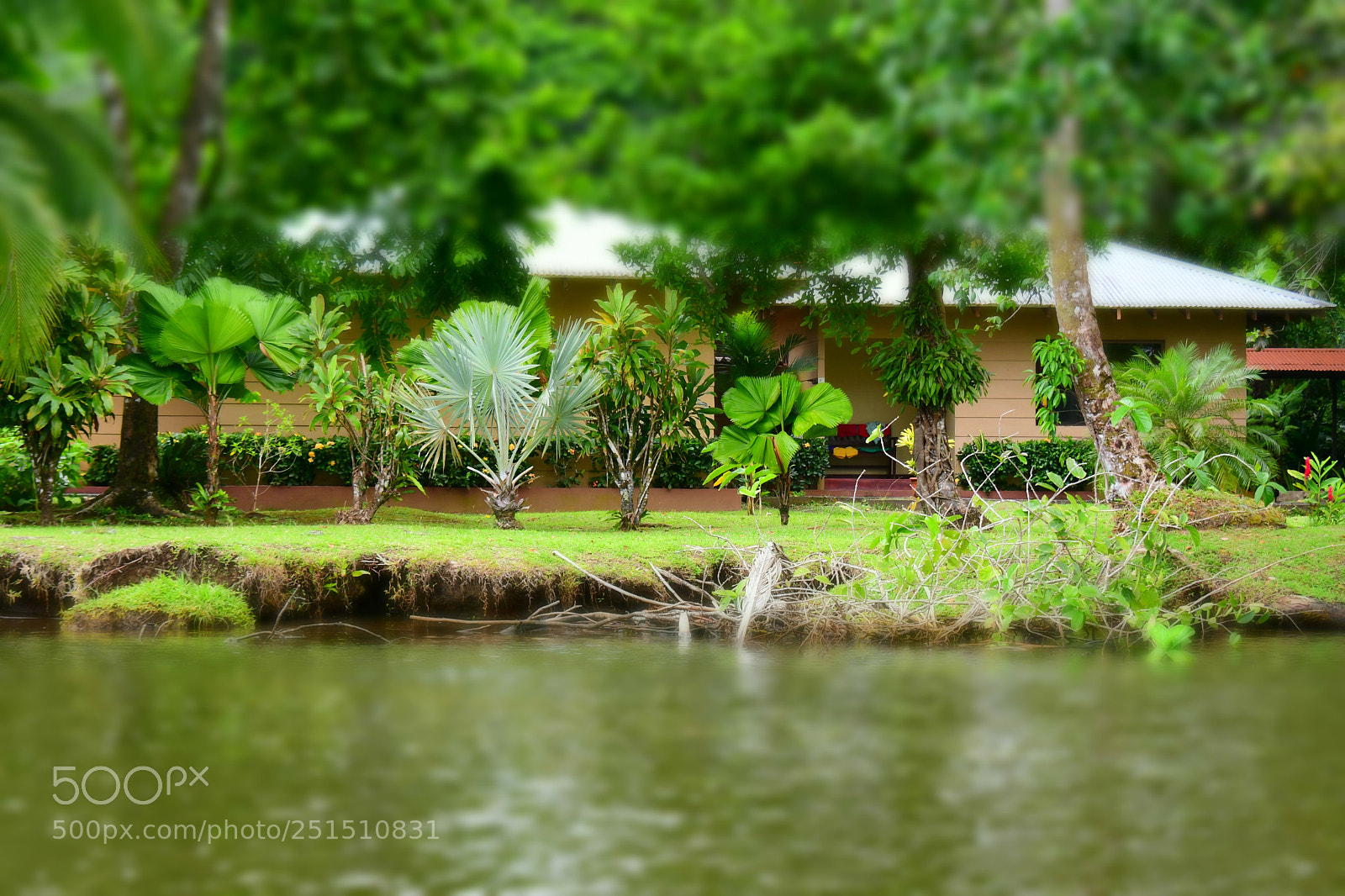 Nikon D7500 sample photo. Untitled photography