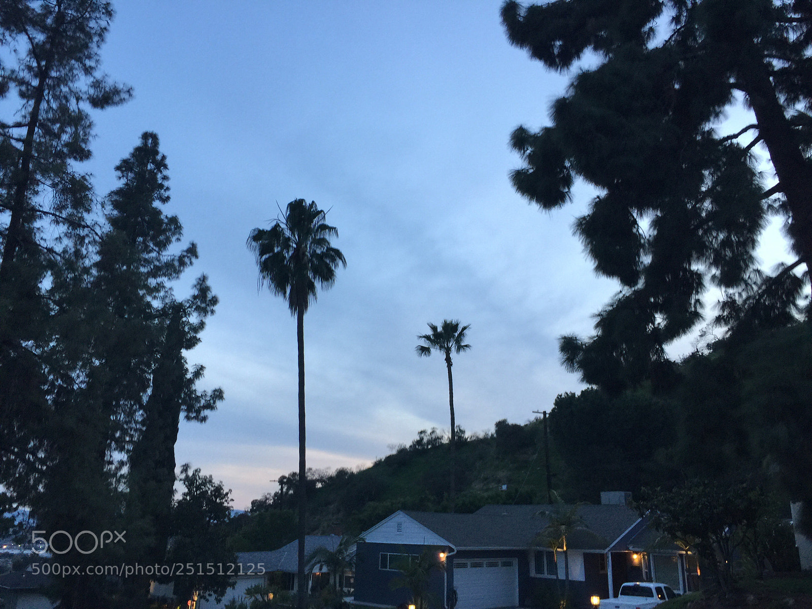 Apple iPhone 6 Plus sample photo. Palm trees and blue photography