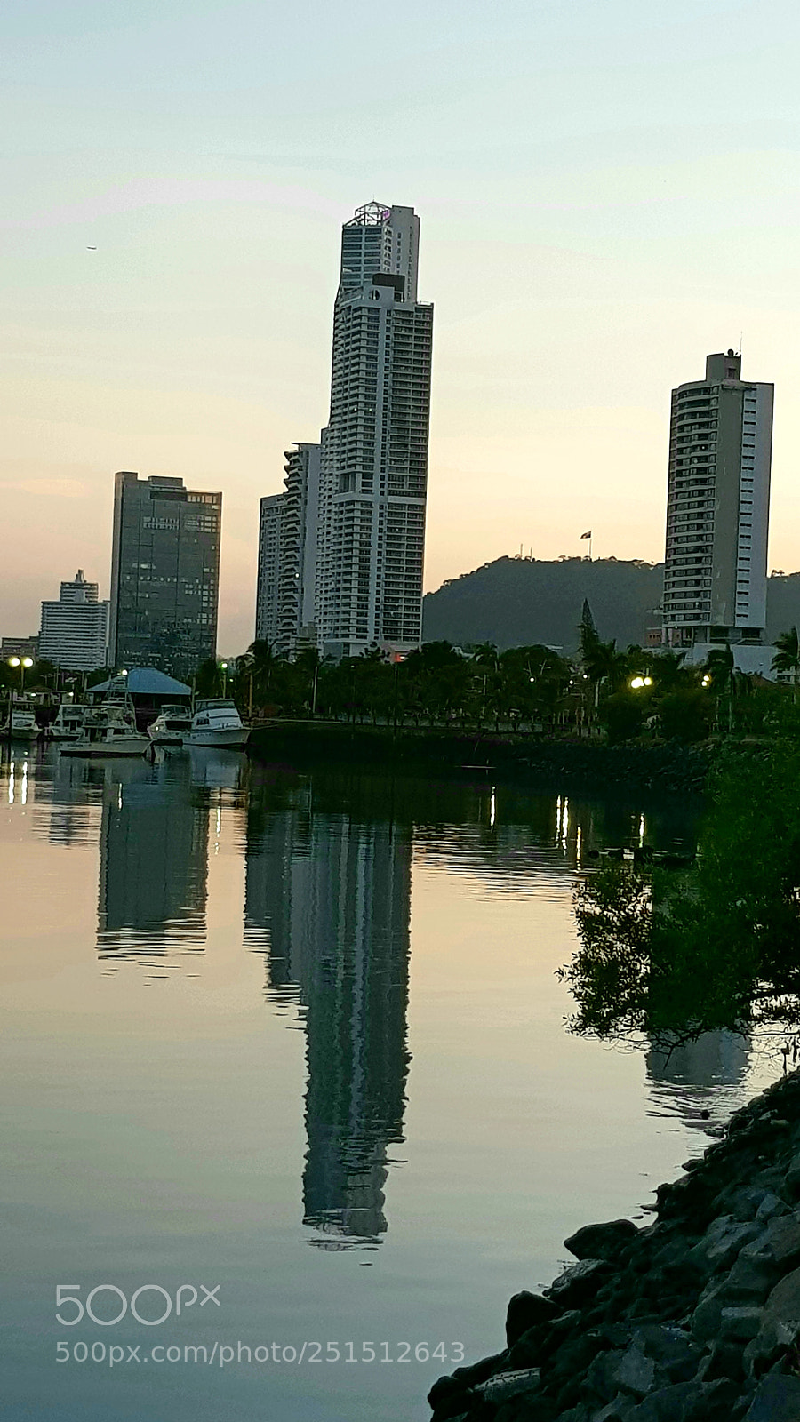 Samsung Galaxy S8+ sample photo. Untitled photography