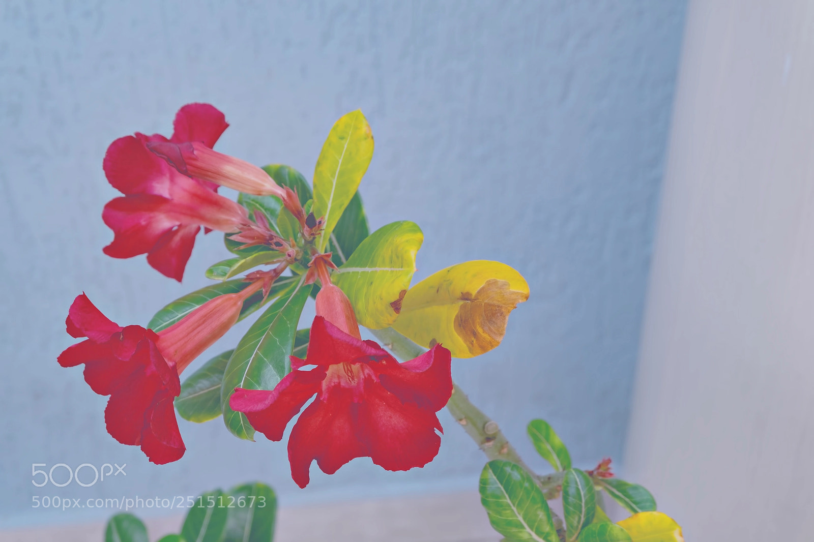 Fujifilm X-T10 sample photo. Casa photography