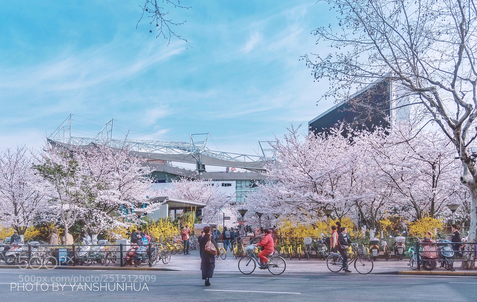Nikon D810 sample photo. Untitled photography