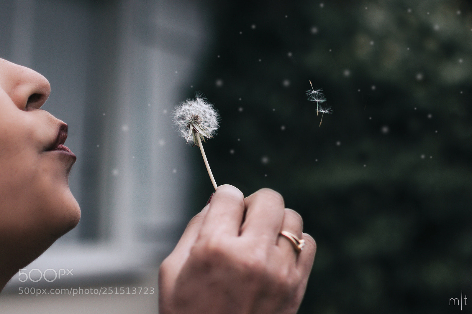 Nikon D5300 sample photo. Make a wish photography