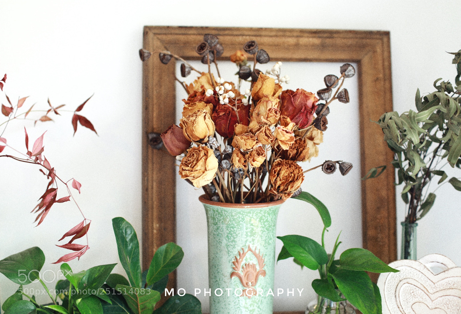 Canon EOS 5D Mark IV sample photo. Untitled photography
