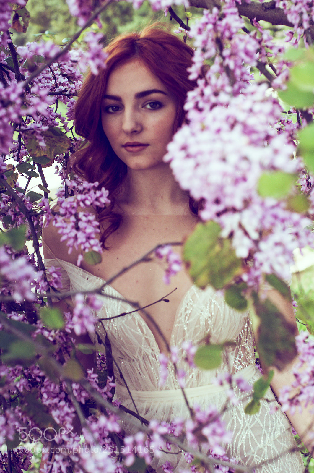 Nikon D300S sample photo. Spring photography