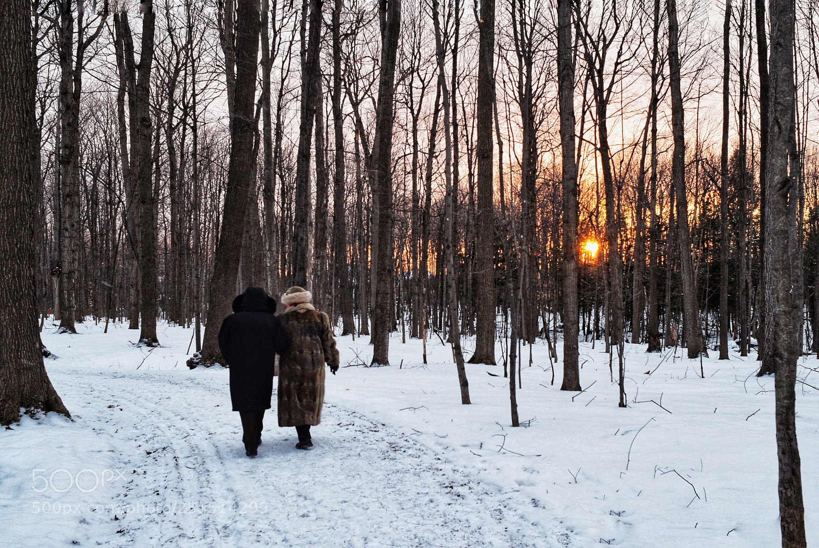 Nikon D5300 sample photo. A walk in the photography