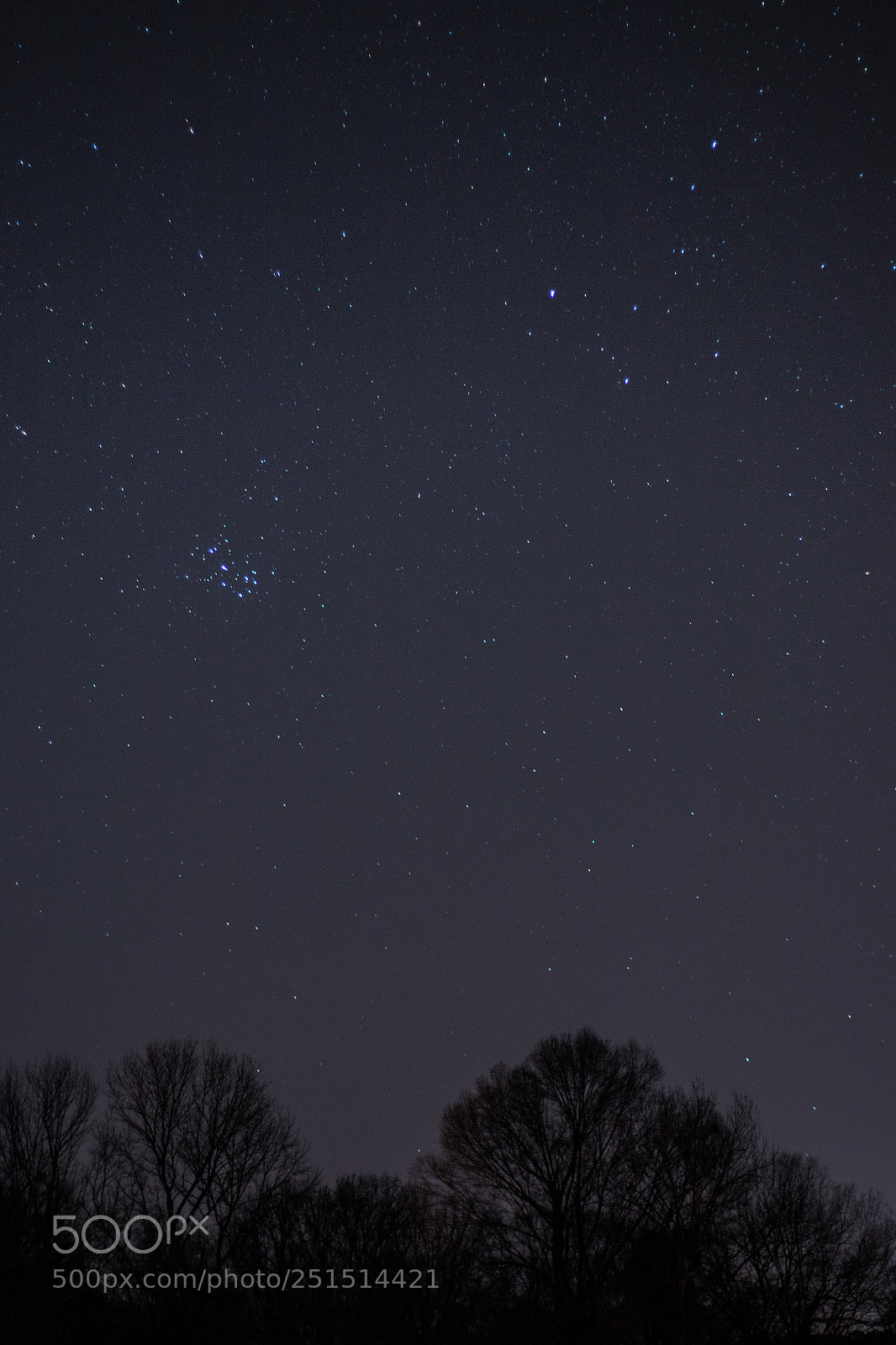 Canon EOS 70D sample photo. Stars over trees photography
