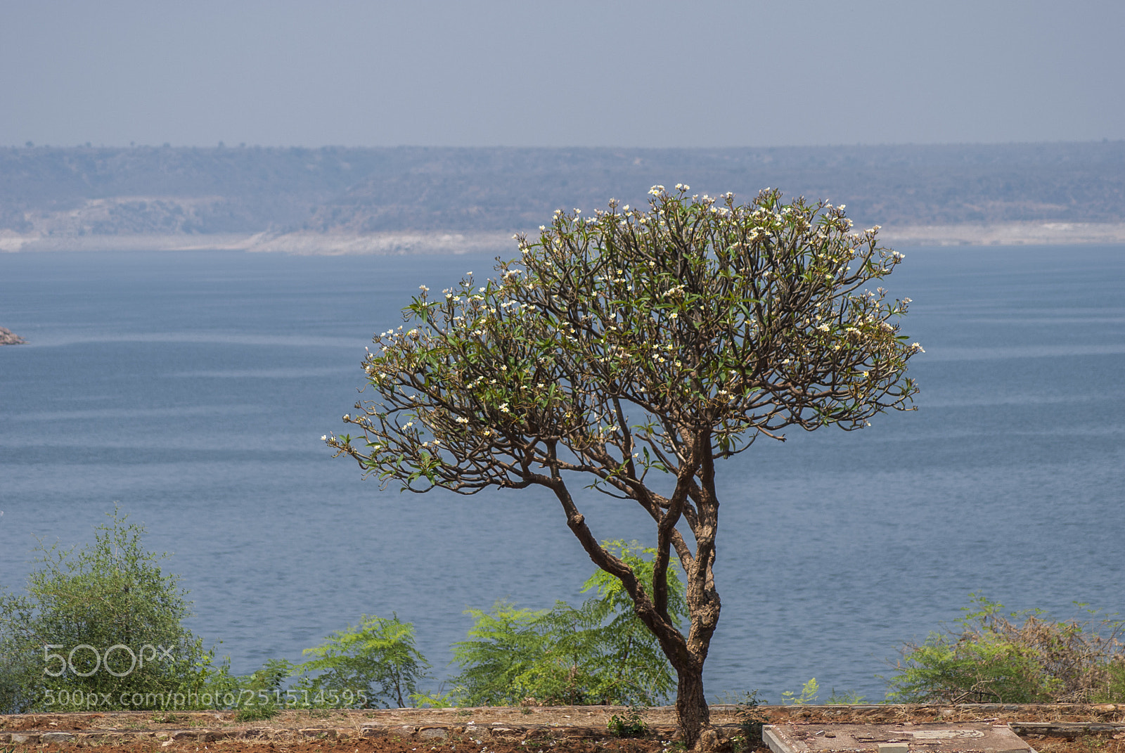 Nikon D60 sample photo. Tranquil with buddha photography
