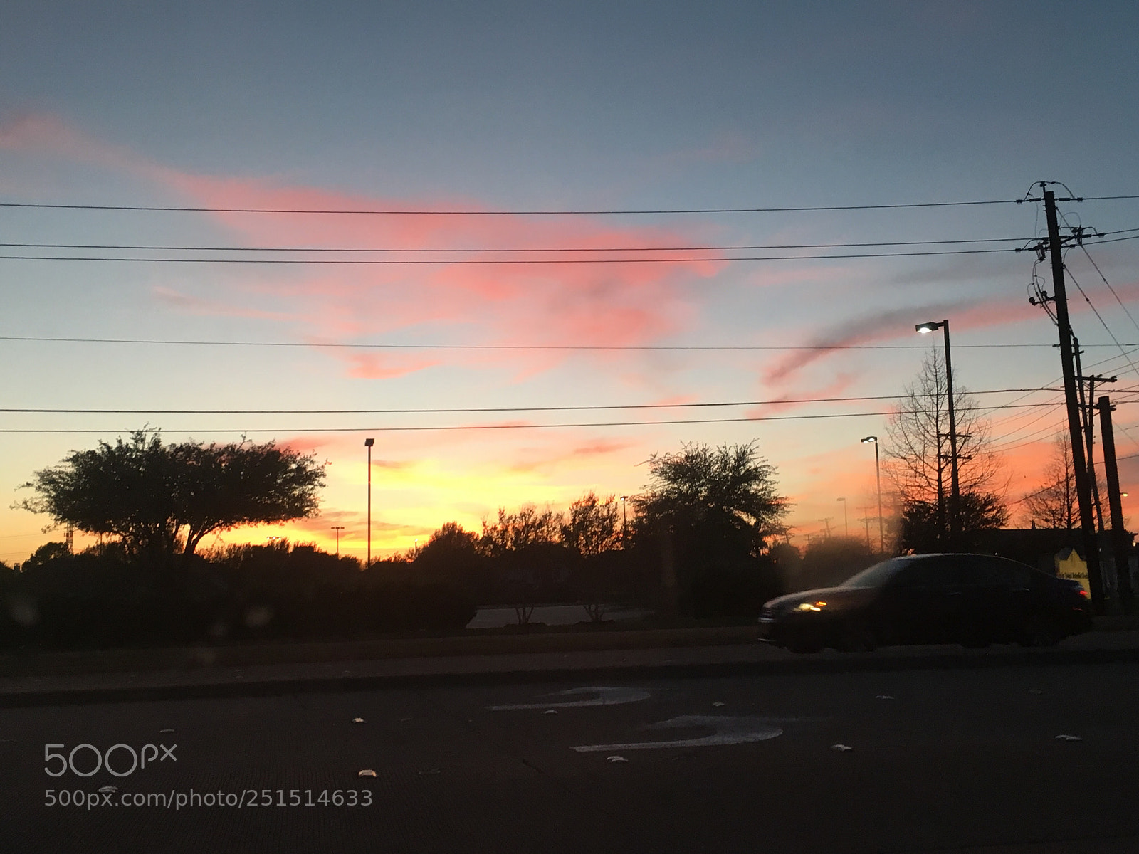 Apple iPhone 6s sample photo. Untitled photography