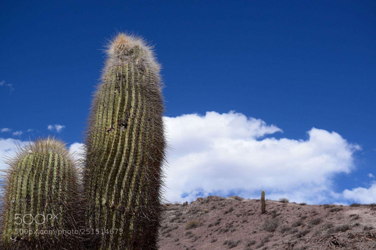 Nikon D5300 sample photo. Salta argentina photography