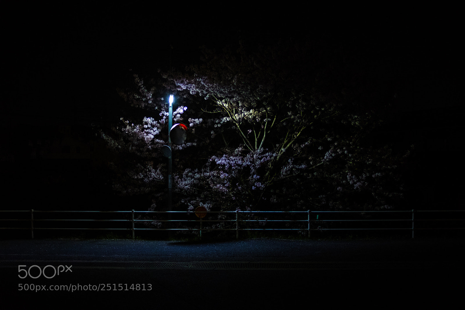 Fujifilm X100F sample photo. Cherry at night photography