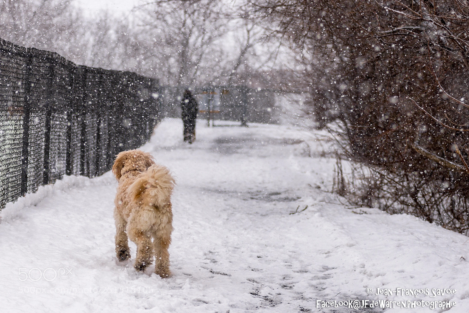 Nikon D610 sample photo. Quels amis seront au photography